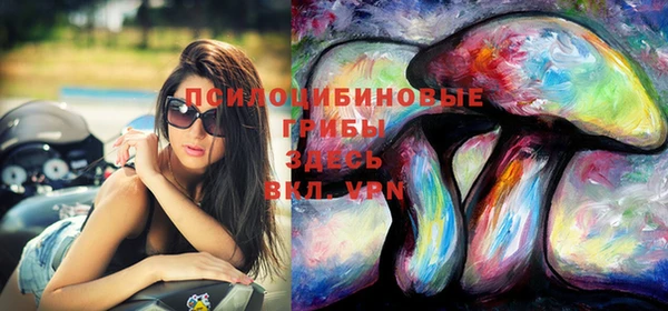 spice Балахна