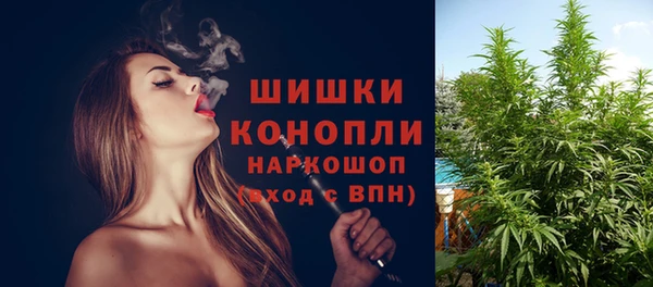 spice Балахна