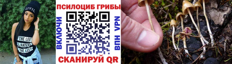 где продают   площадка телеграм  Псилоцибиновые грибы Magic Shrooms  Родники 